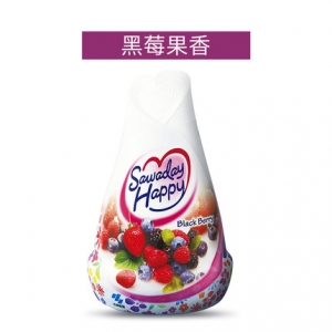 日本小林制药空气清洗剂(黑莓果香) 150g